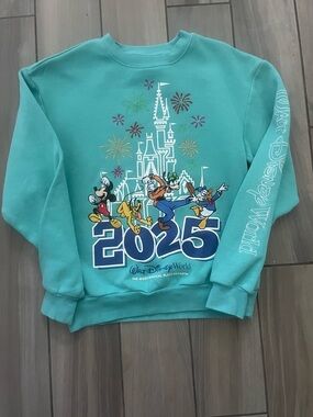 Disney Kids Aqua 2025 Castle & Characters Crewneck Sweatshirt